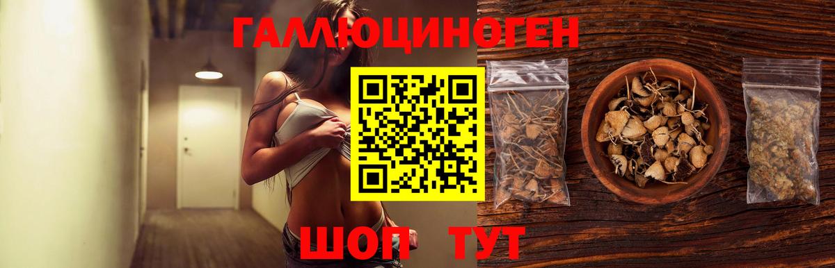 где можно купить   Вход с VPN  Орск  Псилоцибиновые грибы мухоморы  Псилоцибиновые грибы Psilocybine cubensis 