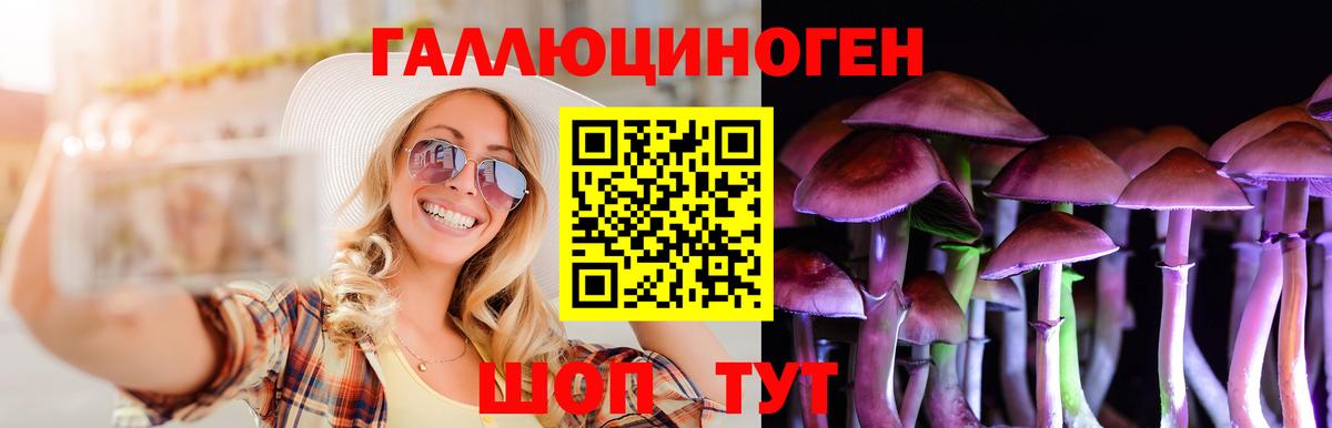 Галлюциногенные грибы Psilocybine cubensis Орск